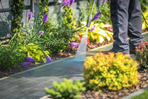 Best Animal Enclosure Cleaning  in Mountain View, NC